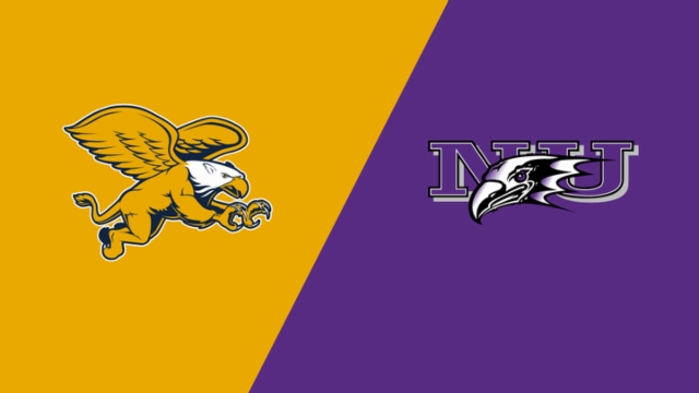 球的代表性 球的代表性