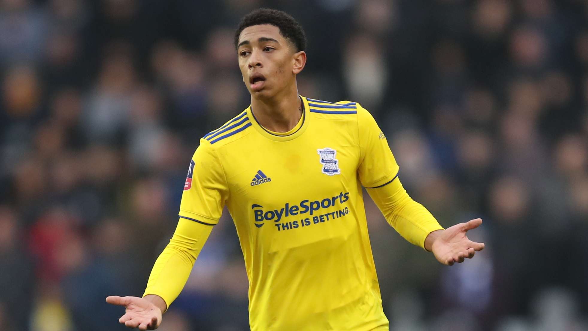 来更积极的 来更积极的