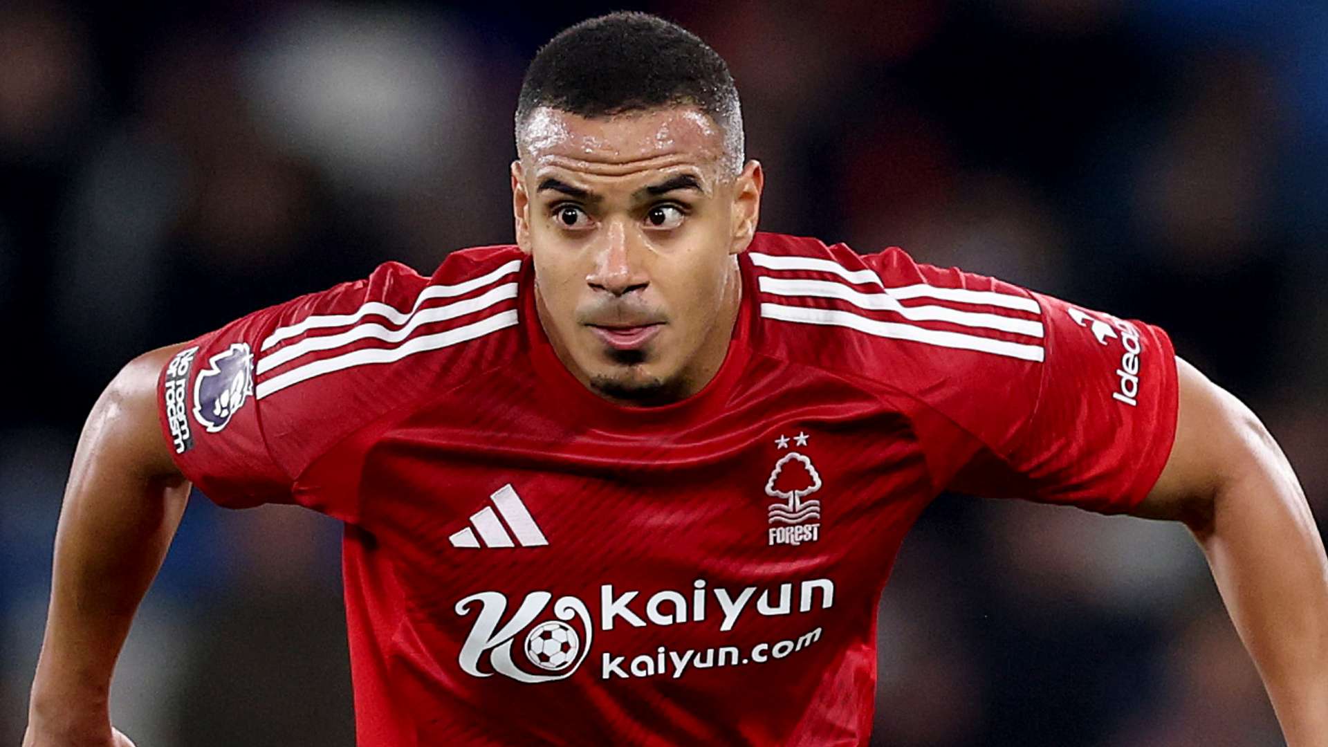 的一个重要 的一个重要