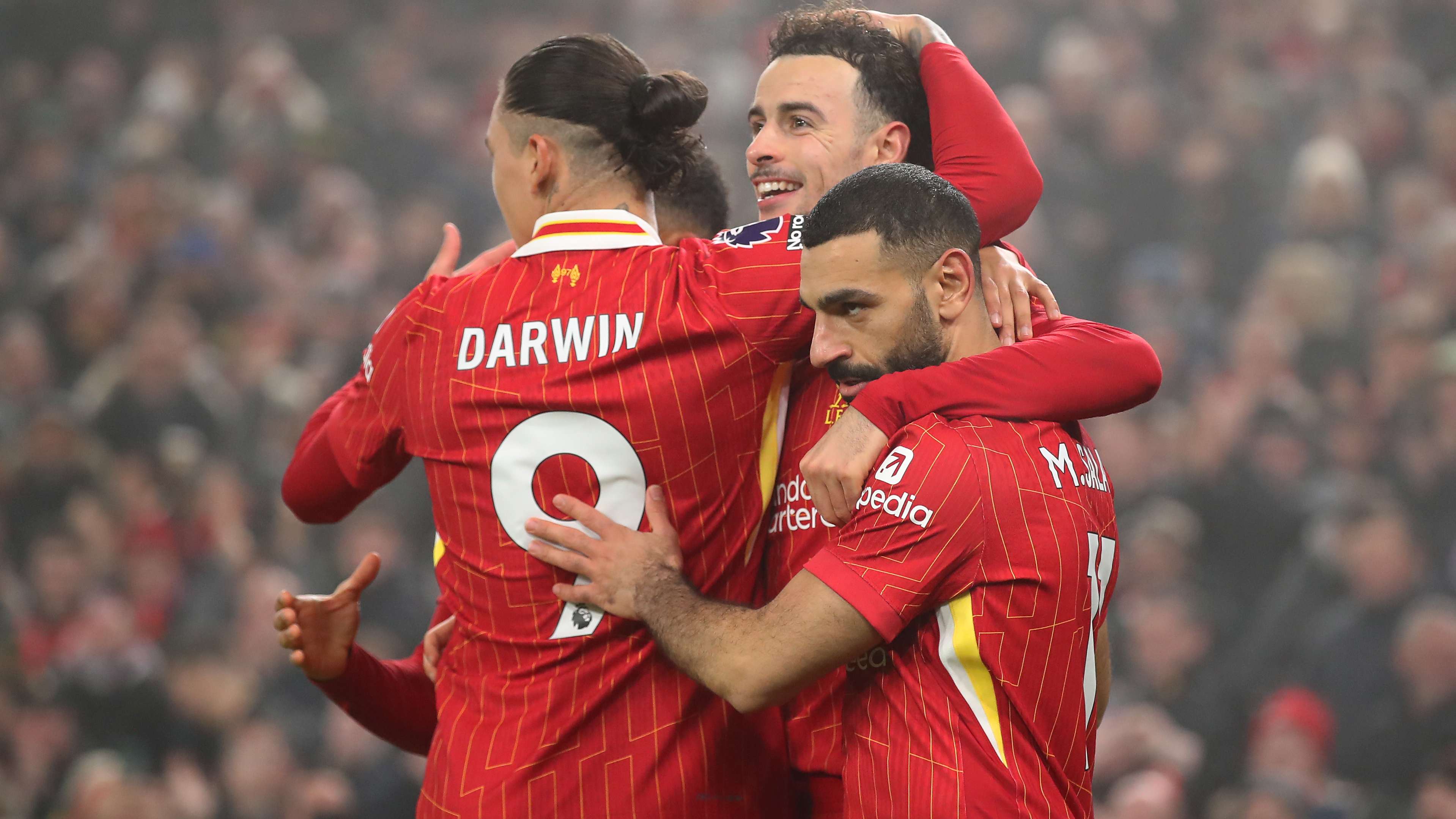 一些专业的 一些专业的