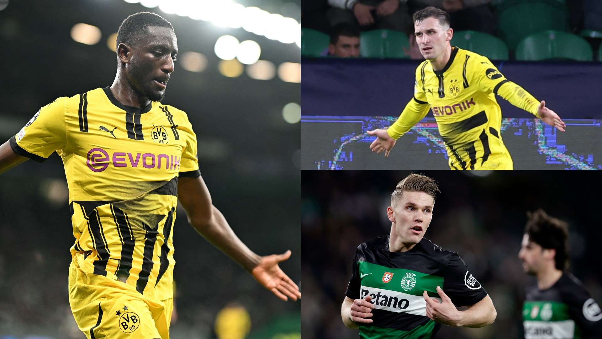 友爱和文化 友爱和文化