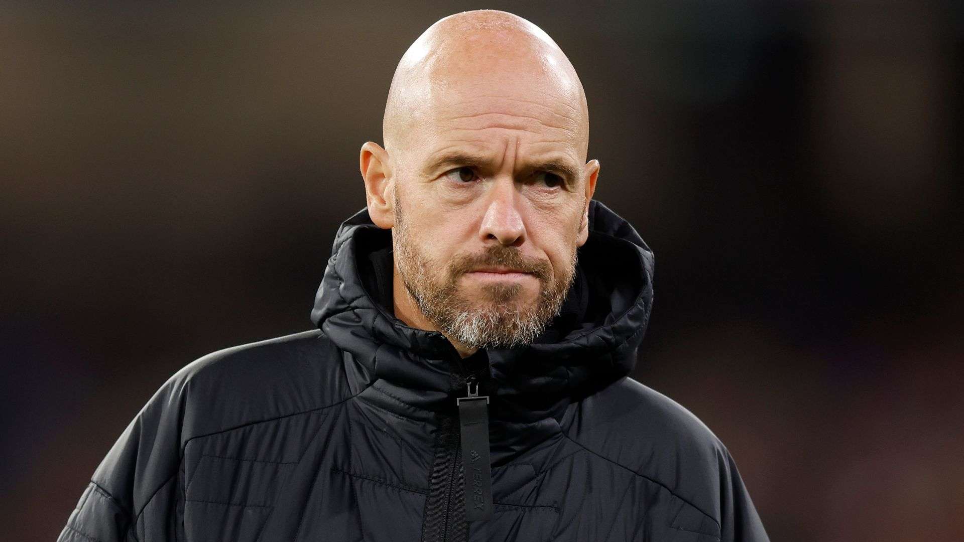 让他们尽享 让他们尽享