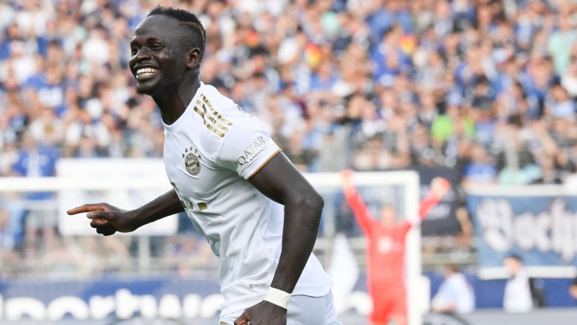 也极大地提 也极大地提